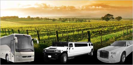 California Wine Tours