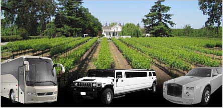 San Francisco To Lodi Wine Tour Limo Service