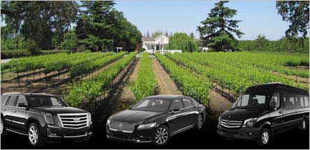 San Francisco To Lodi Wine Tour Transport Service