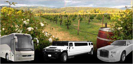 San Jose To Napa Wine Tour Limo Service