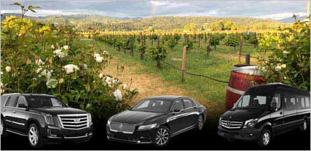 San Jose To Napa Wine Tour Transport Service